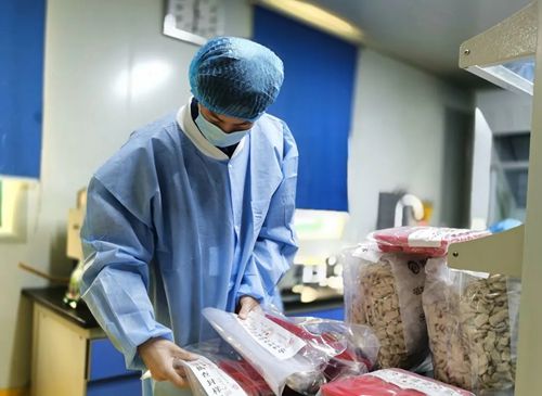 守护“舌尖上的校园” 徐州启动食品安全专项抽检，1397批次精准发力